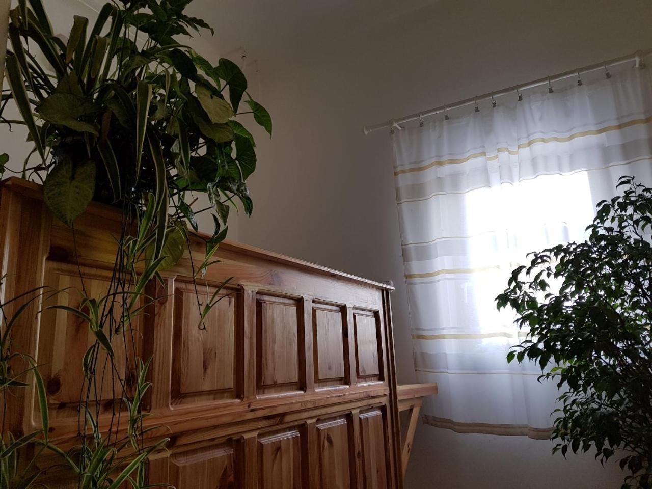 セゲド Matyas Panzio Bed & Breakfast エクステリア 写真